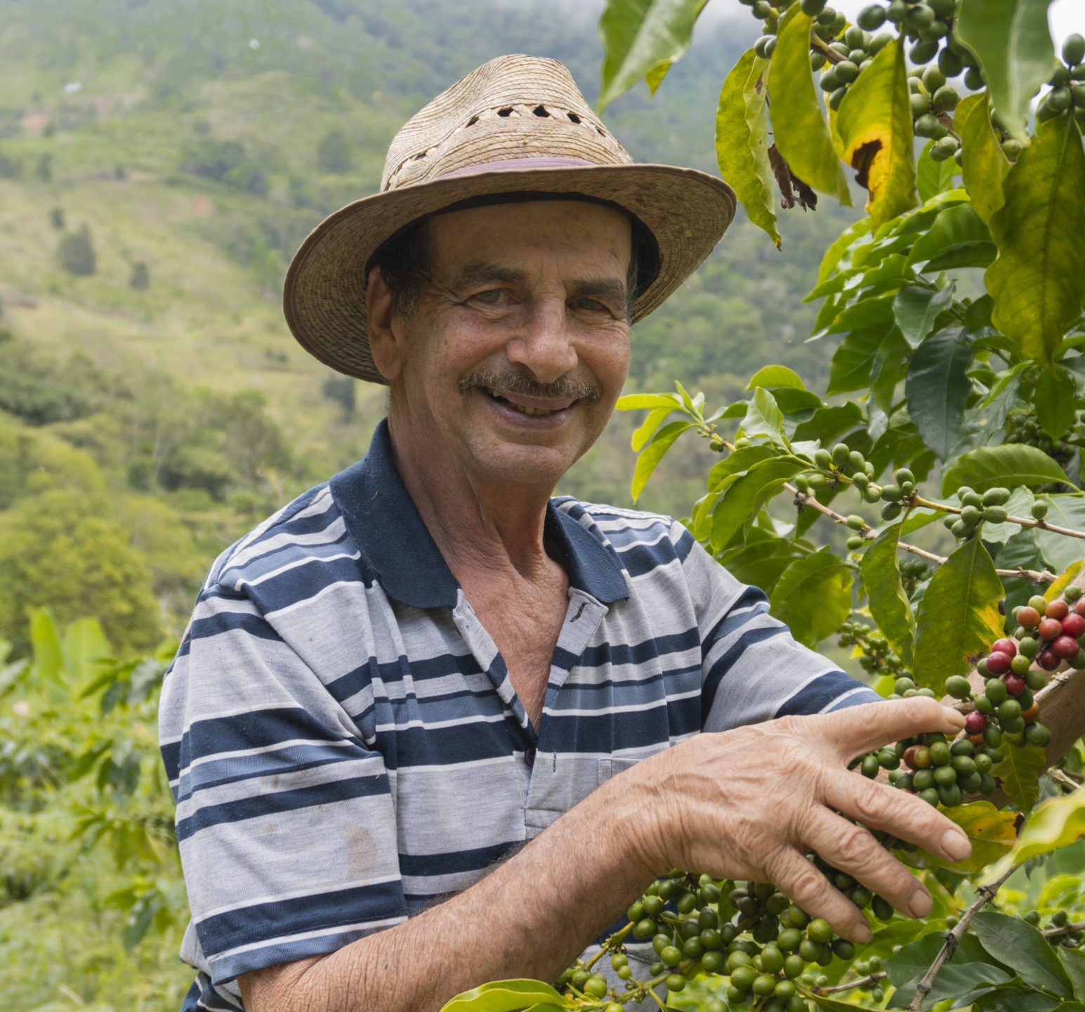 Orlando Mora