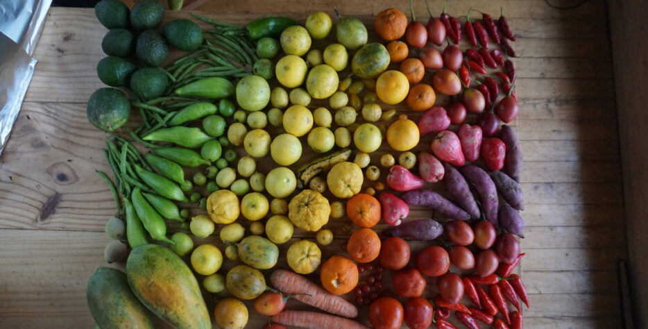 Cocina tradicional costarricense preparada con ingredientes frescos de la finca y productores vecinos, celebrando sabores simples y honestos.