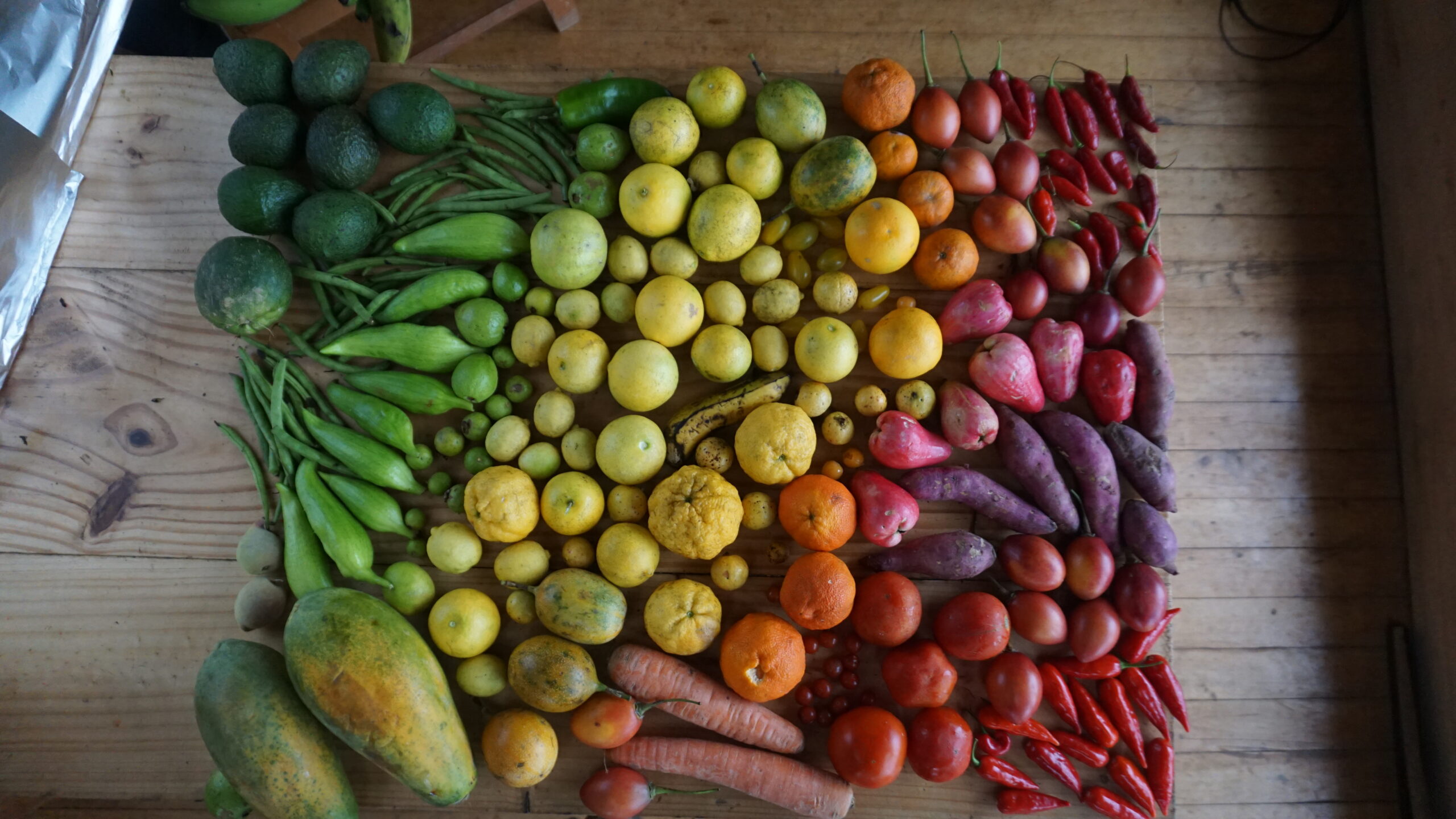 Cocina tradicional costarricense preparada con ingredientes frescos de la finca y productores vecinos, celebrando sabores simples y honestos.