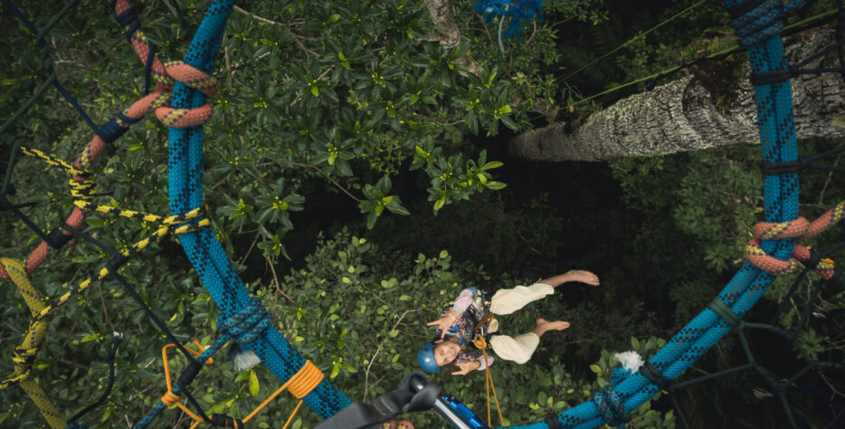 Una experiencia segura de escalada en higuerones gigantes, perfecta para retarse, salir de la rutina y ver el bosque desde otra perspectiva.