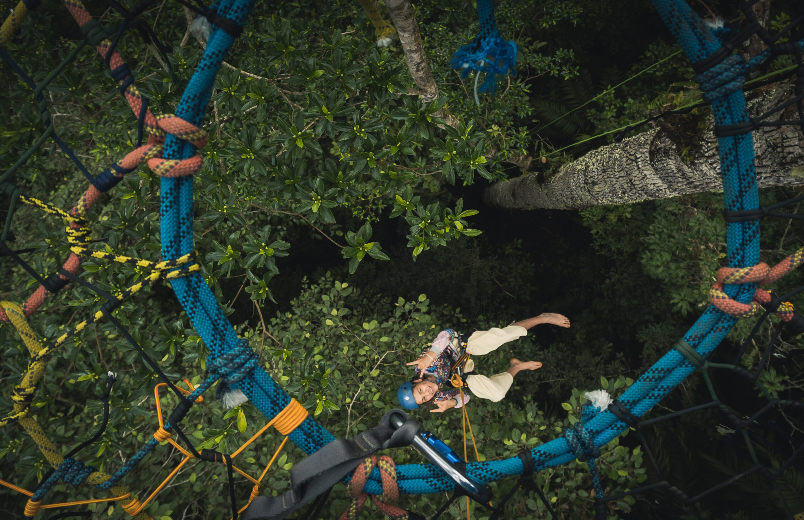 Una experiencia segura de escalada en higuerones gigantes, perfecta para retarse, salir de la rutina y ver el bosque desde otra perspectiva.
