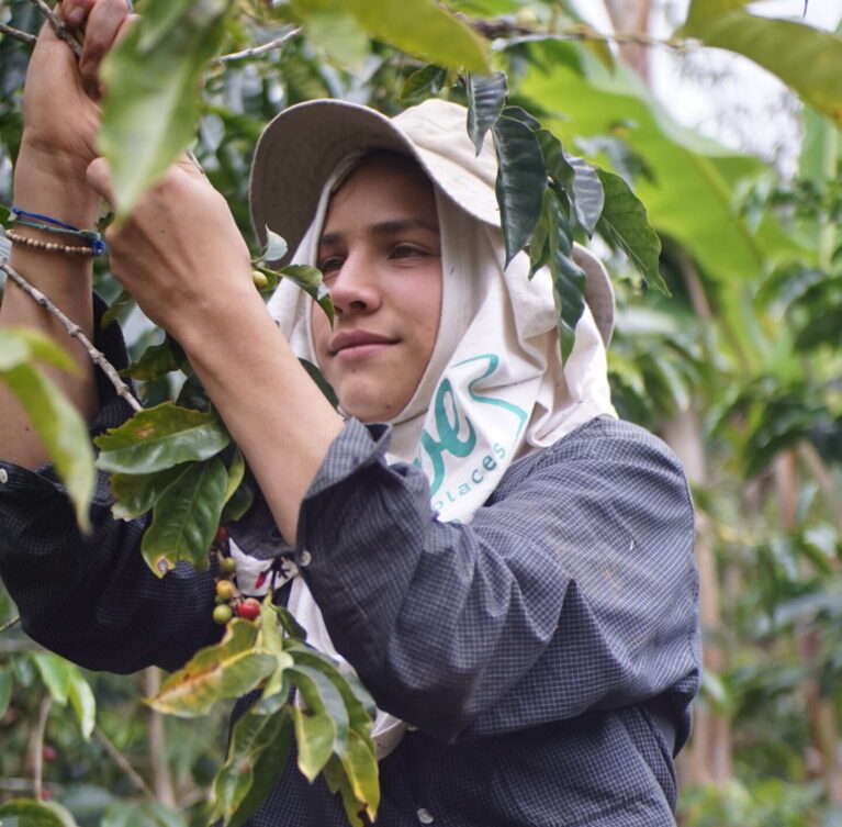 Un recorrido para vivir el café desde la raíz: caminar el cafetal, conocer sus procesos, explorar aromas y degustar nuestro café de finca.