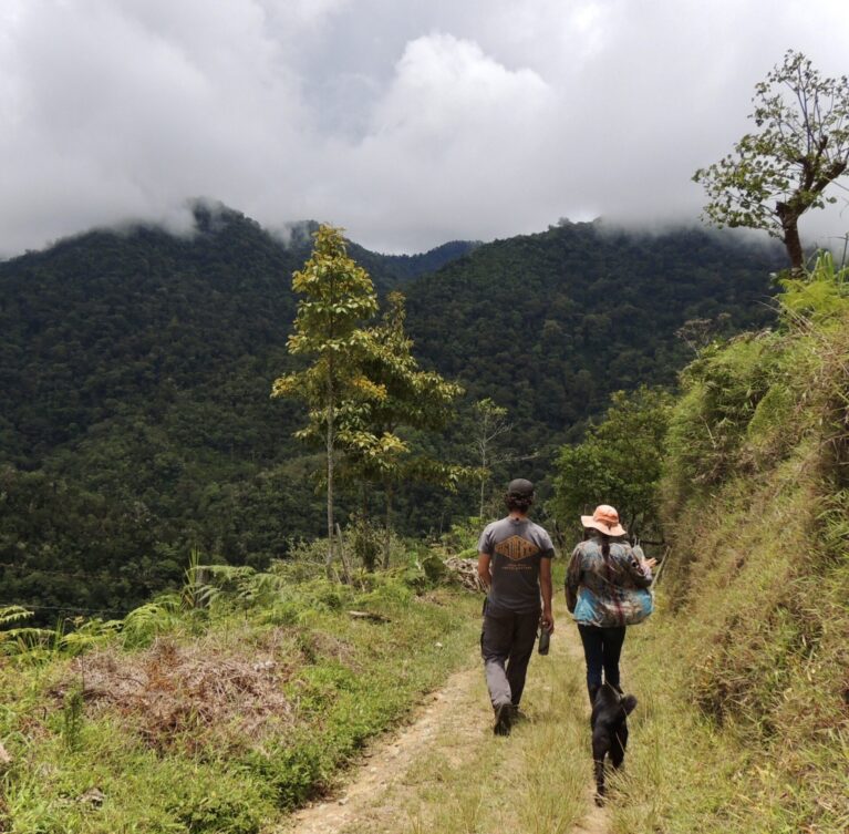Espacios cómodos y rodeados de naturaleza para descansar, conectar y vivir una experiencia auténtica en la montaña.
